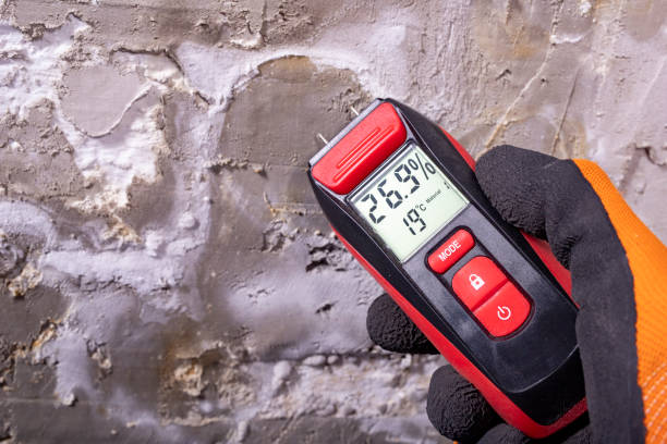 Best Same-Day Mold Removal  in Atchison, KS